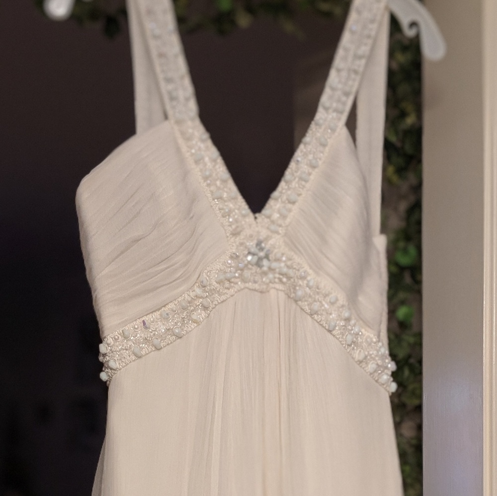 Pronovias Regata Wedding Gown